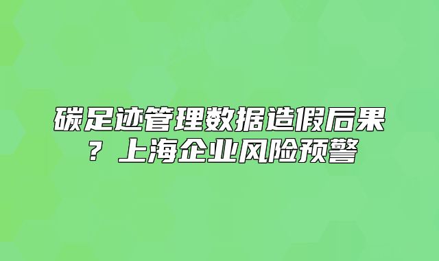 碳足跡管理數(shù)據(jù)造假后果？上海企業(yè)風(fēng)險預(yù)警