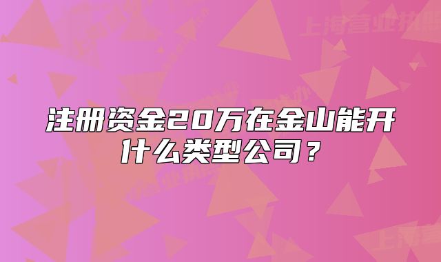 注冊資金20萬在金山能開什么類型公司？