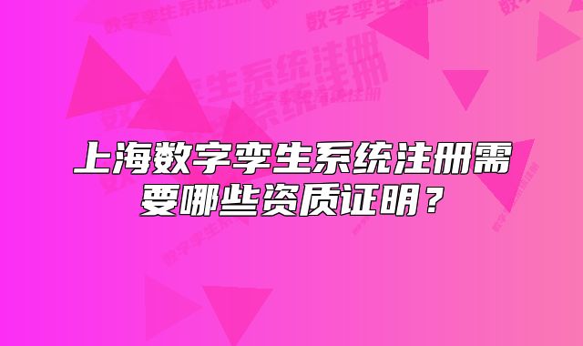 上海數(shù)字孿生系統(tǒng)注冊(cè)需要哪些資質(zhì)證明？