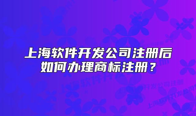 上海軟件開發(fā)公司注冊后如何辦理商標注冊？