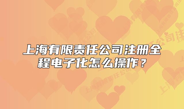 上海有限責(zé)任公司注冊全程電子化怎么操作？