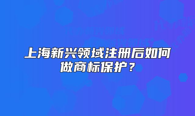 上海新興領(lǐng)域注冊(cè)后如何做商標(biāo)保護(hù)？