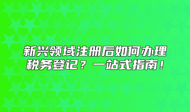 新興領域注冊后如何辦理稅務登記？一站式指南！