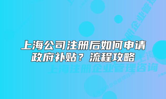 上海公司注冊后如何申請政府補(bǔ)貼？流程攻略