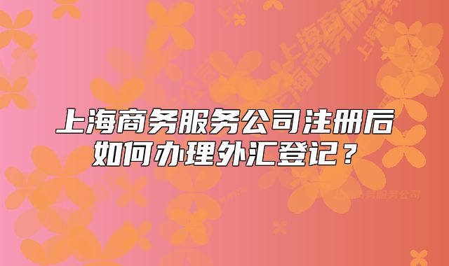 上海商務(wù)服務(wù)公司注冊(cè)后如何辦理外匯登記？