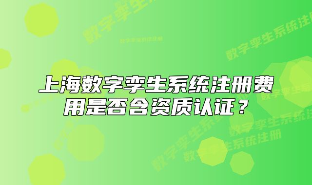 上海數(shù)字孿生系統(tǒng)注冊費用是否含資質(zhì)認證？