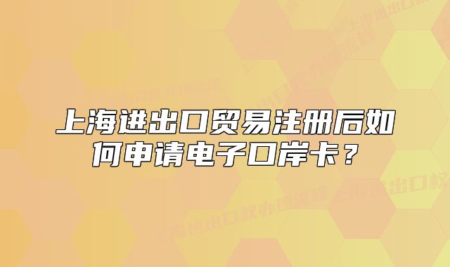 上海進(jìn)出口貿(mào)易注冊(cè)后如何申請(qǐng)電子口岸卡？