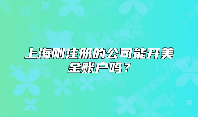 上海剛注冊(cè)的公司能開(kāi)美金賬戶嗎？