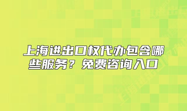 上海進(jìn)出口權(quán)代辦包含哪些服務(wù)？免費(fèi)咨詢?nèi)肟? class=