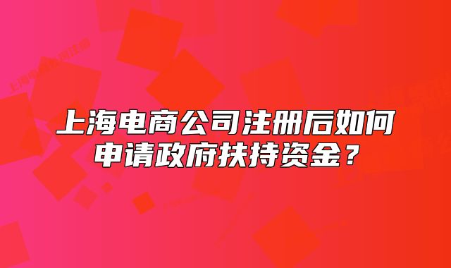 上海電商公司注冊后如何申請政府扶持資金？