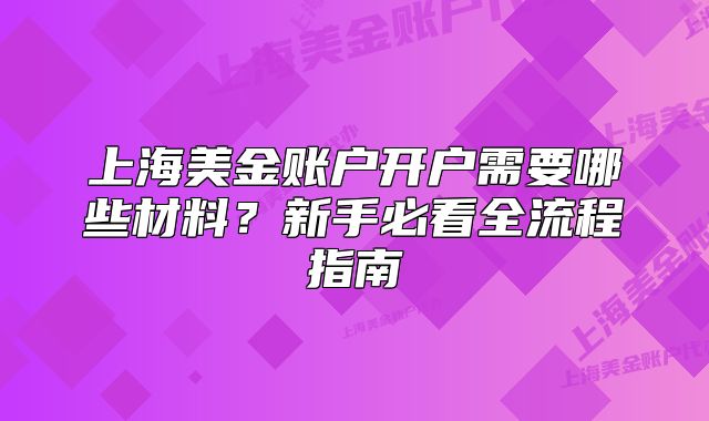 上海美金賬戶開戶需要哪些材料？新手必看全流程指南