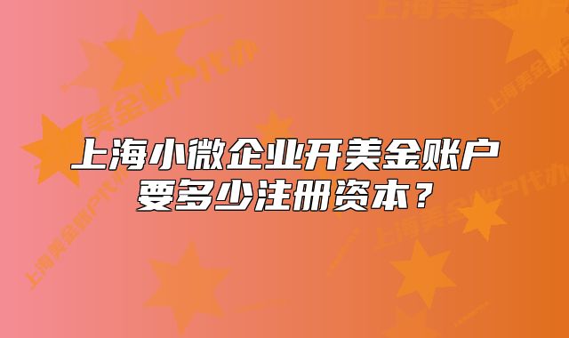上海小微企業(yè)開美金賬戶要多少注冊資本？
