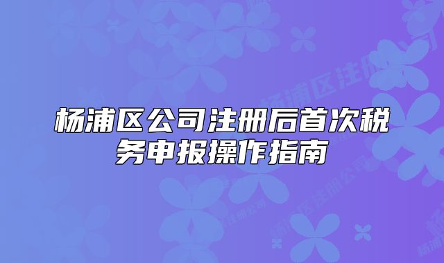 楊浦區(qū)公司注冊后首次稅務(wù)申報操作指南