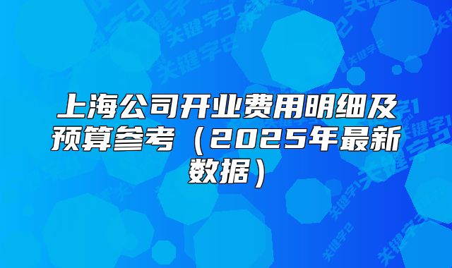 上海公司開(kāi)業(yè)費(fèi)用明細(xì)及預(yù)算參考（2025年最新數(shù)據(jù)）