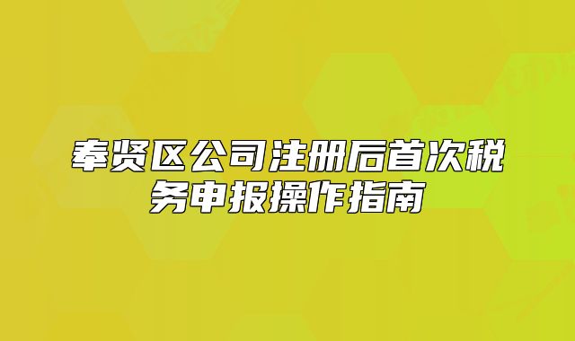 奉賢區(qū)公司注冊后首次稅務(wù)申報操作指南