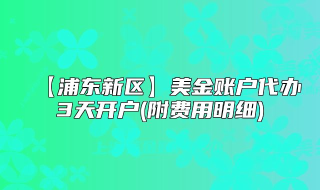 【浦東新區(qū)】美金賬戶代辦3天開戶(附費(fèi)用明細(xì))