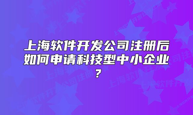 上海軟件開發(fā)公司注冊(cè)后如何申請(qǐng)科技型中小企業(yè)？