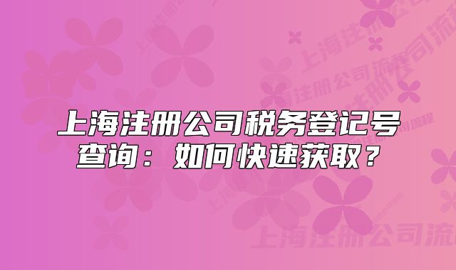 上海注冊公司稅務(wù)登記號查詢：如何快速獲取？