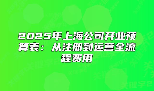 2025年上海公司開業(yè)預(yù)算表：從注冊(cè)到運(yùn)營(yíng)全流程費(fèi)用