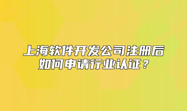 上海軟件開發(fā)公司注冊后如何申請行業(yè)認證？
