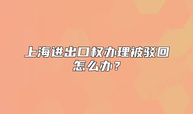 上海進(jìn)出口權(quán)辦理被駁回怎么辦？