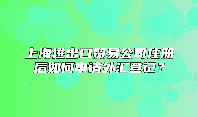 上海進(jìn)出口貿(mào)易公司注冊(cè)后如何申請(qǐng)外匯登記？