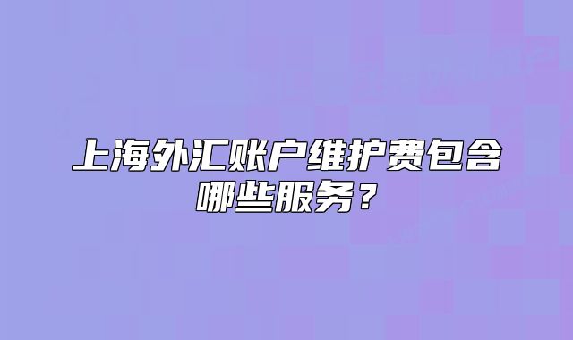 上海外匯賬戶維護(hù)費(fèi)包含哪些服務(wù)？