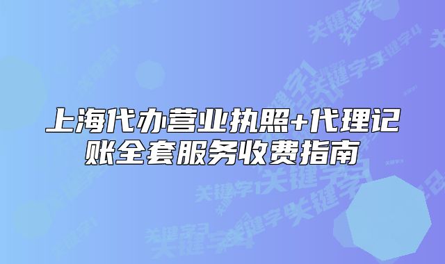 上海代辦營業(yè)執(zhí)照+代理記賬全套服務(wù)收費(fèi)指南