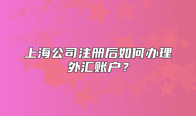 上海公司注冊后如何辦理外匯賬戶？