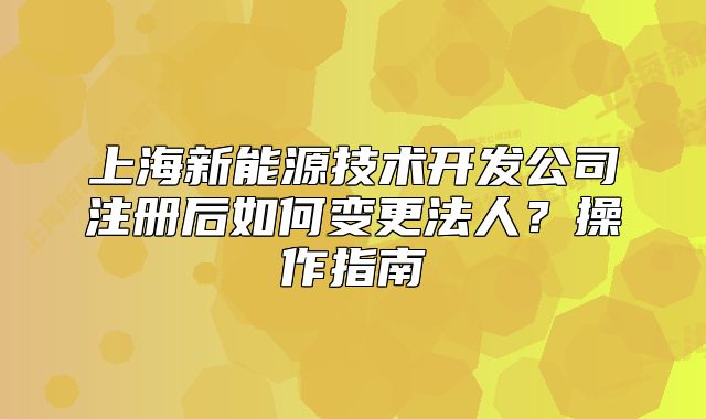 上海新能源技術開發(fā)公司注冊后如何變更法人？操作指南