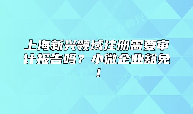 上海新興領(lǐng)域注冊(cè)需要審計(jì)報(bào)告嗎？小微企業(yè)豁免！