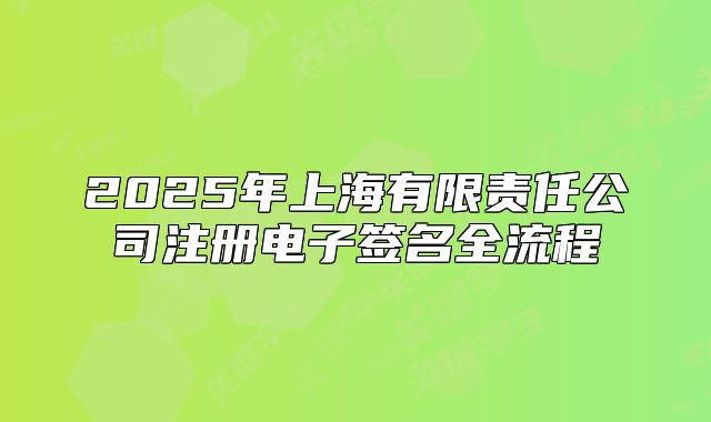 2025年上海有限責(zé)任公司注冊電子簽名全流程