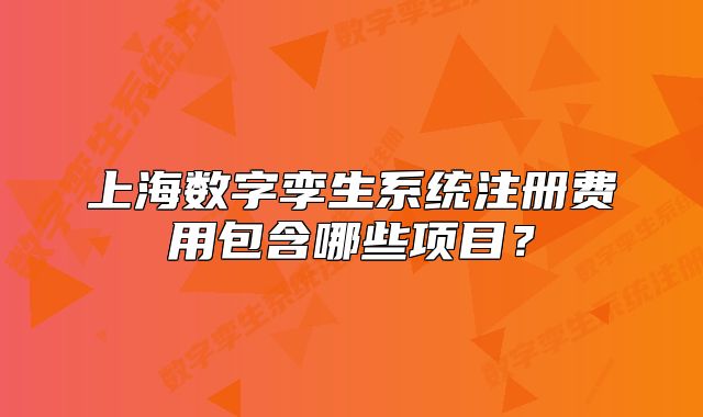 上海數(shù)字孿生系統(tǒng)注冊(cè)費(fèi)用包含哪些項(xiàng)目？