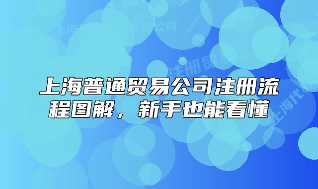 上海普通貿(mào)易公司注冊流程圖解，新手也能看懂