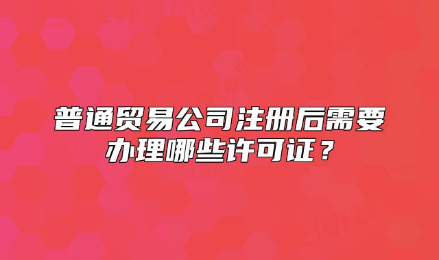 普通貿(mào)易公司注冊(cè)后需要辦理哪些許可證？