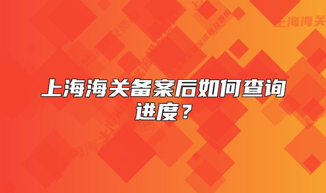 上海海關(guān)備案后如何查詢進度？