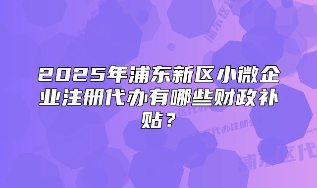 2025年浦東新區(qū)小微企業(yè)注冊代辦有哪些財政補貼？