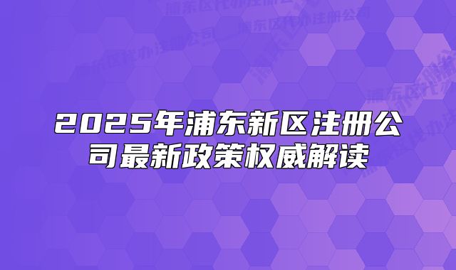 2025年浦東新區(qū)注冊公司最新政策權(quán)威解讀