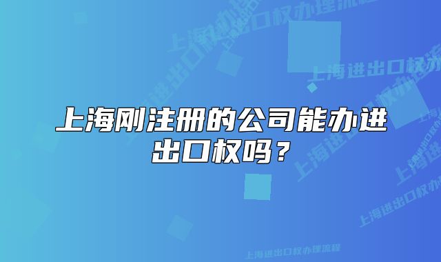 上海剛注冊(cè)的公司能辦進(jìn)出口權(quán)嗎？