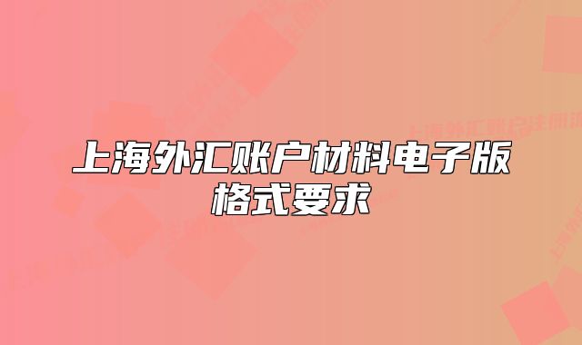 上海外匯賬戶材料電子版格式要求