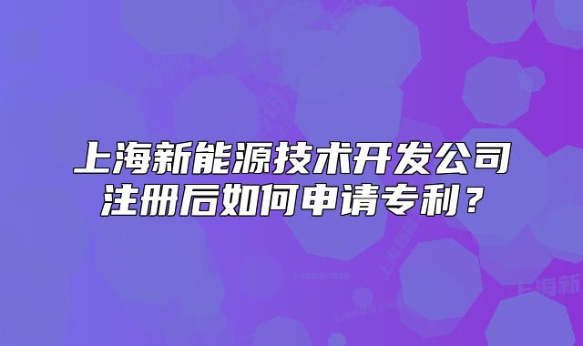 上海新能源技術(shù)開(kāi)發(fā)公司注冊(cè)后如何申請(qǐng)專(zhuān)利？