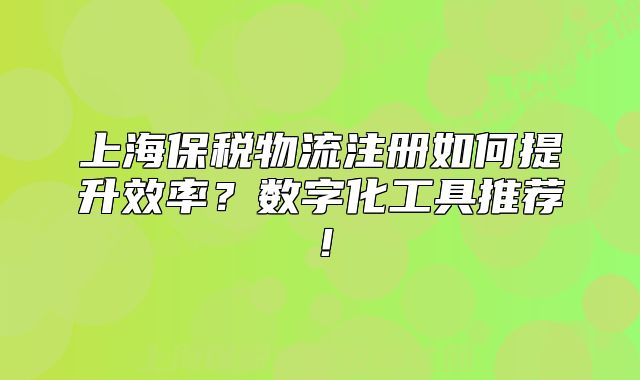 上海保稅物流注冊(cè)如何提升效率？數(shù)字化工具推薦！