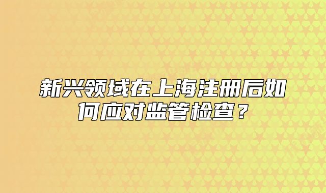 新興領(lǐng)域在上海注冊后如何應(yīng)對監(jiān)管檢查？