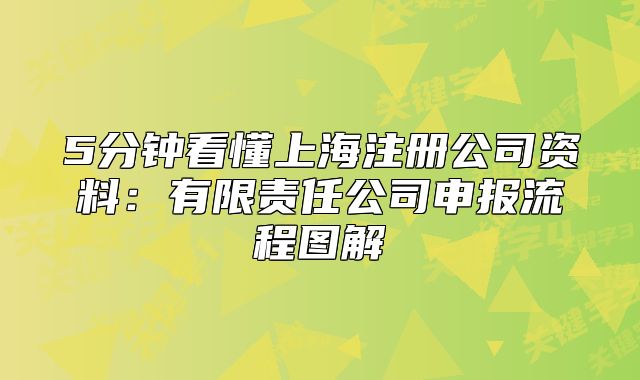 5分鐘看懂上海注冊公司資料：有限責(zé)任公司申報(bào)流程圖解