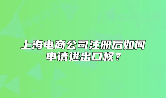 上海電商公司注冊后如何申請進(jìn)出口權(quán)？