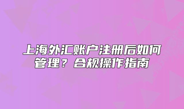 上海外匯賬戶注冊后如何管理？合規(guī)操作指南