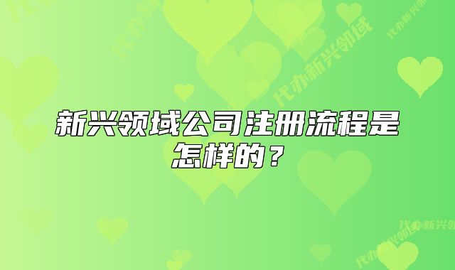新興領(lǐng)域公司注冊(cè)流程是怎樣的？