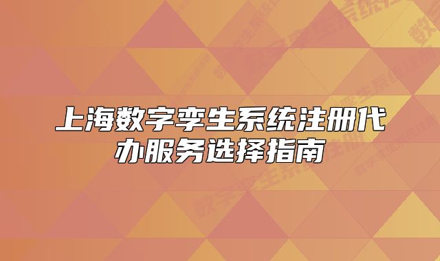 上海數(shù)字孿生系統(tǒng)注冊(cè)代辦服務(wù)選擇指南