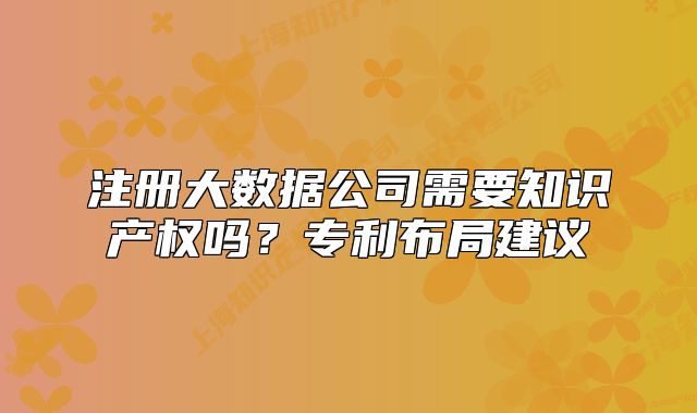 注冊大數(shù)據(jù)公司需要知識產(chǎn)權(quán)嗎？專利布局建議