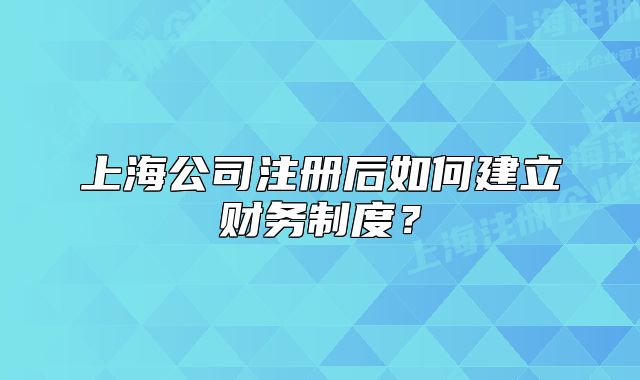 上海公司注冊(cè)后如何建立財(cái)務(wù)制度？